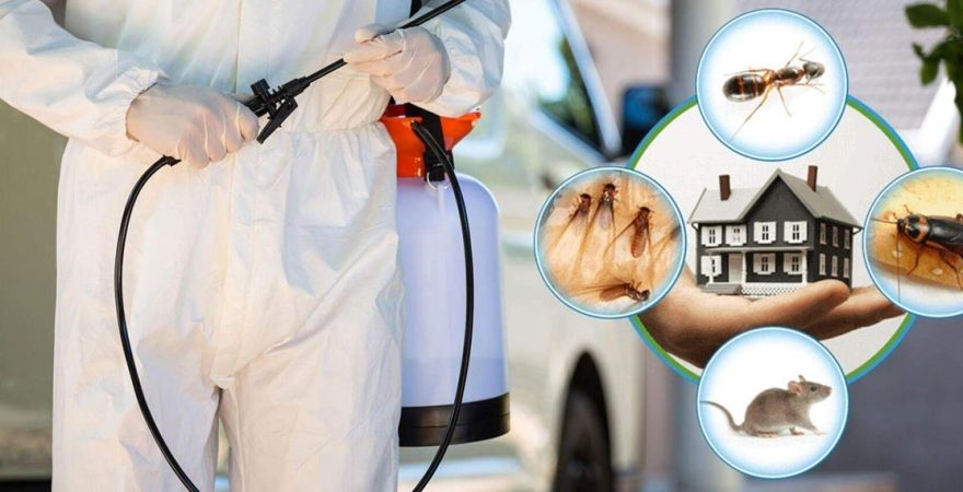 Sarıyer Böcek İlaçlama