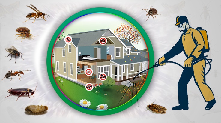 Sarıyer Böcek İlaçlama