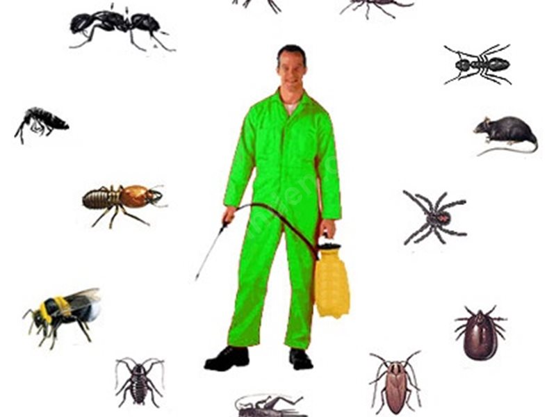 Sarıyer Böcek İlaçlama